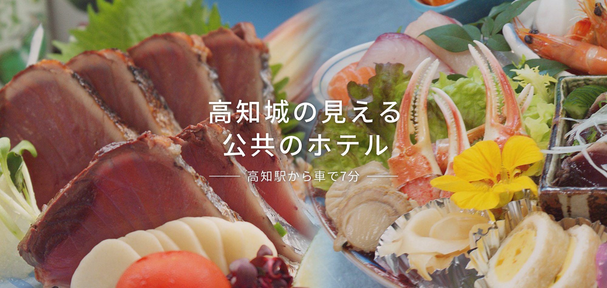 高知城の見える公共のホテル