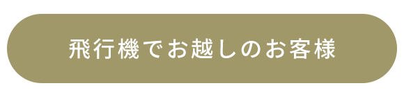 飛行機でお越しのお客様