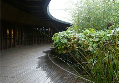 高知県立牧野植物園