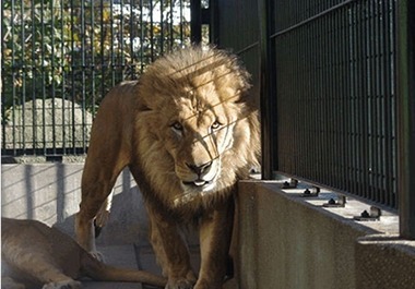 わんぱーくこうち