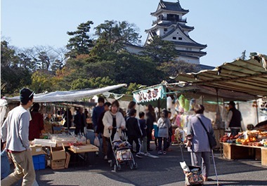 土佐の街路市(日曜市)